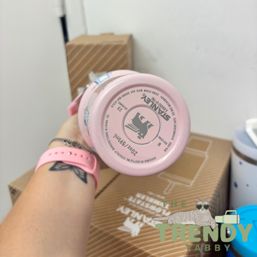 Pink Bluey 20 OZ Stanley Tumbler