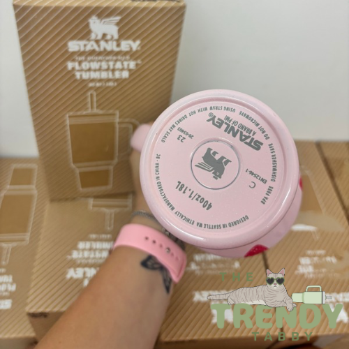 Pink Strawberries 40 OZ Stanley Tumbler